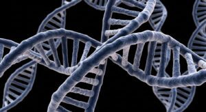 DNA Mutations