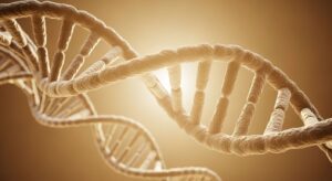 DNA